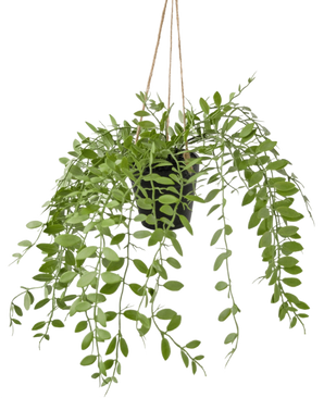 La planta colgante artificial Pumila en maceta de 30 cm tiene zarcillos verdes con hojas ovaladas que cuelgan de tres hilos sobre un fondo blanco liso.