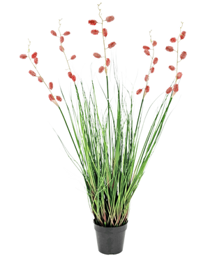 Una planta de césped artificial ignífugo de ciempiés de 100 cm con hojas largas y delgadas de color verde y tallos altos con penachos de color rojo rosado, presentado sobre un fondo blanco.