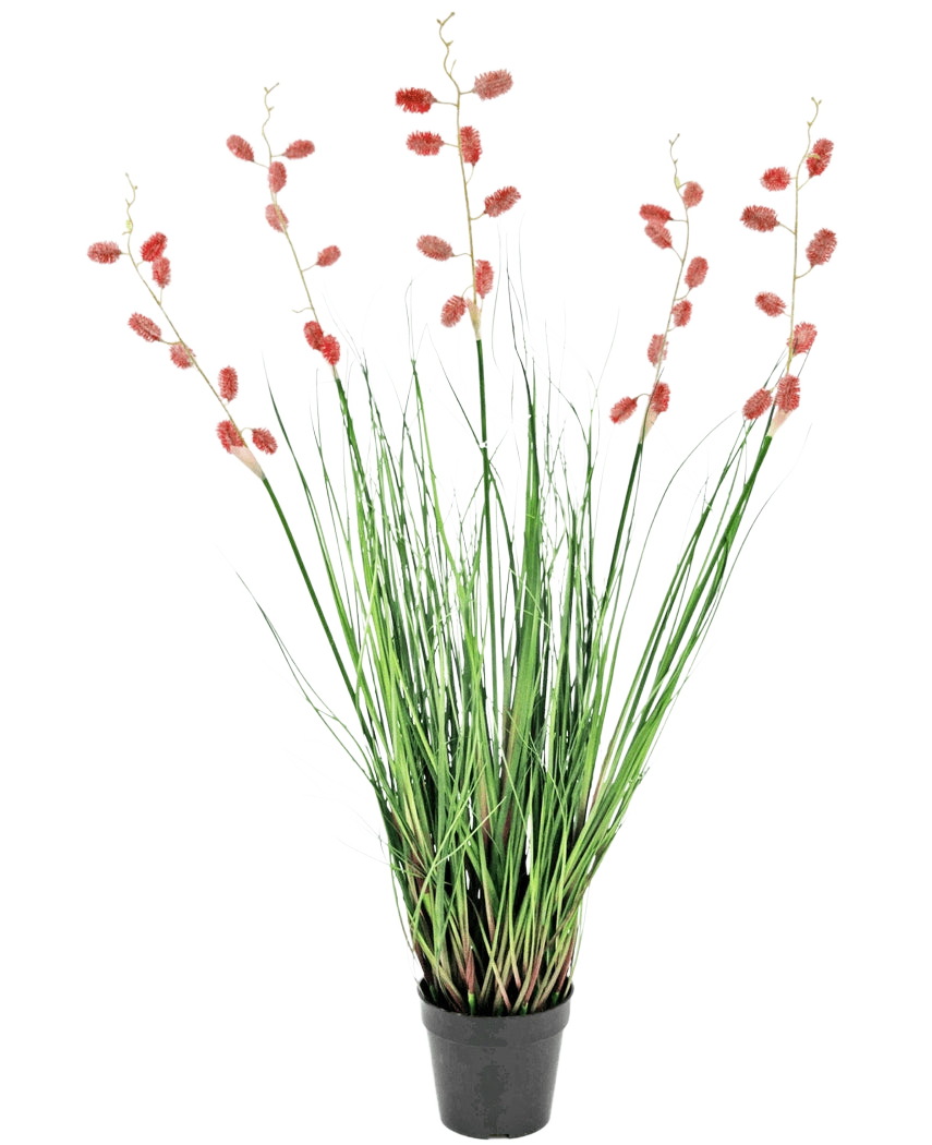 Una planta de césped artificial ignífugo de ciempiés de 100 cm con hojas largas y delgadas de color verde y tallos altos con penachos de color rojo rosado, presentado sobre un fondo blanco.
