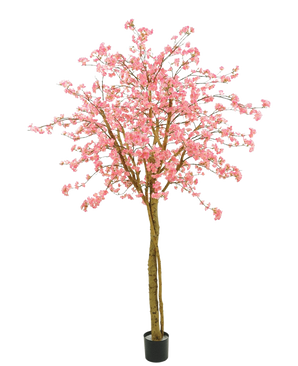 El árbol de cerezo artificial rosa de 240 cm tiene flores rosas, ramas marrones y una maceta negra sobre un fondo blanco liso.