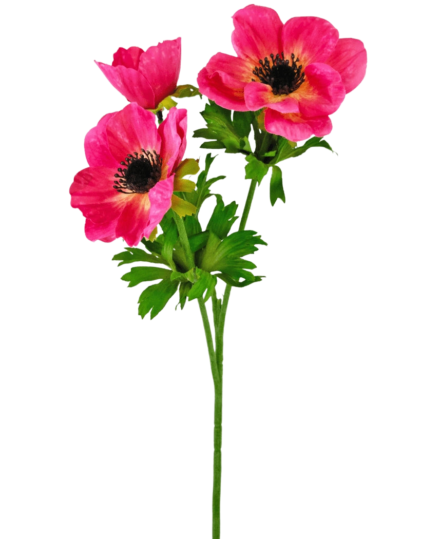 La Flor de Anémona Artificial ramificada de 56 cm rosa tiene un único tallo verde con tres flores de anémona de color rosa brillante con un corazón oscuro y pétalos delicados y rugosos, además de hojas verdes, sobre un fondo blanco liso.