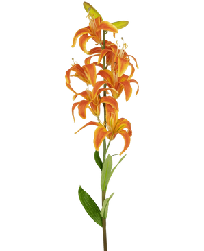 De Kunstbloem Martagon Lelie 78 cm oranje heeft een enkele steel met meerdere levendige oranje leliebloemen en groene bladeren, perfect om tentoon te stellen, geïsoleerd op een witte achtergrond.