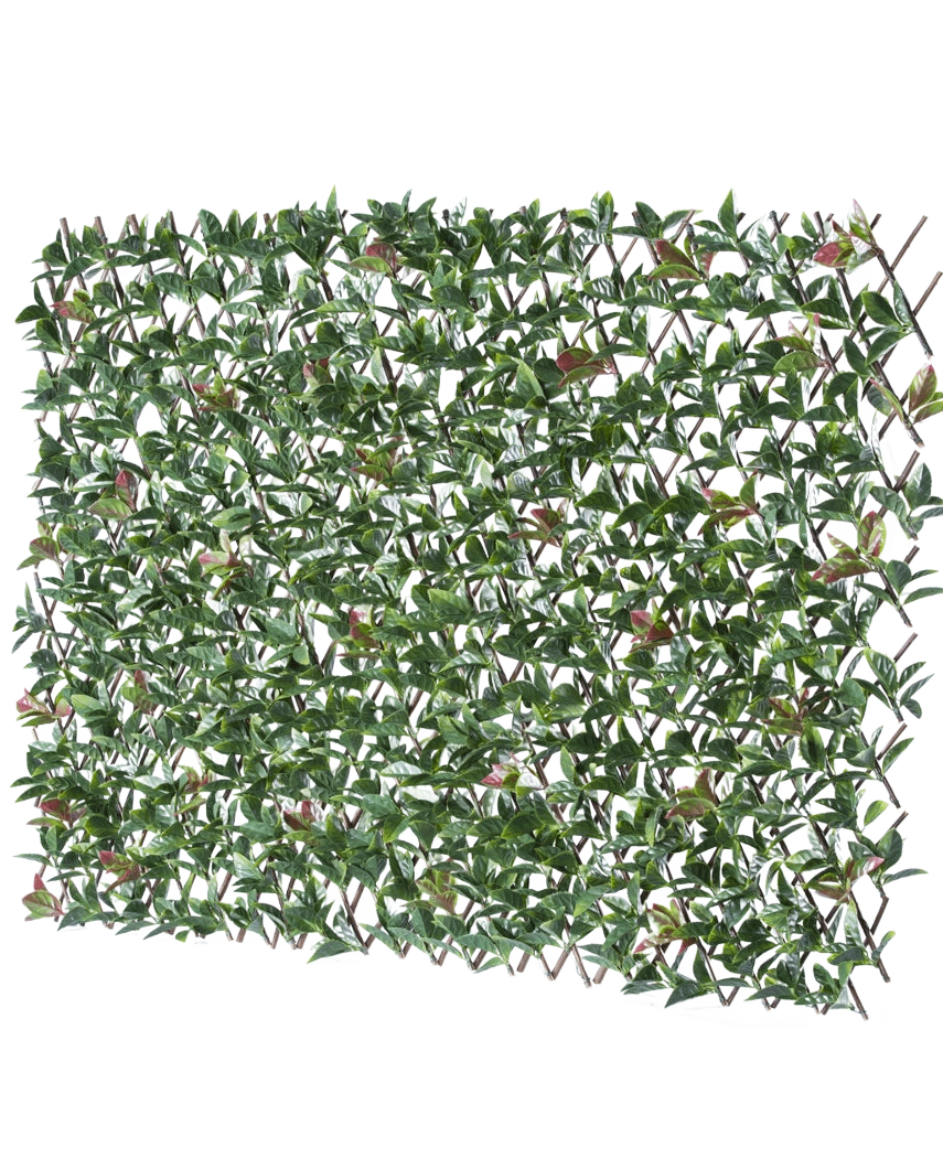 El Seto Artificial Photonia Extensible 200x100 cm es una valla extensible rectangular con hojas verdes artificiales y flores rosas, representadas sobre un fondo blanco.