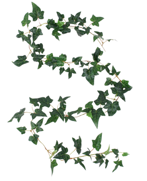 La guirnalda de hiedra Kunst Boston verde 180 cm UV tiene un largo zarcillo de hiedra con hojas verdes de cinco lóbulos y tallos finos en forma de S fluida sobre un fondo blanco.
