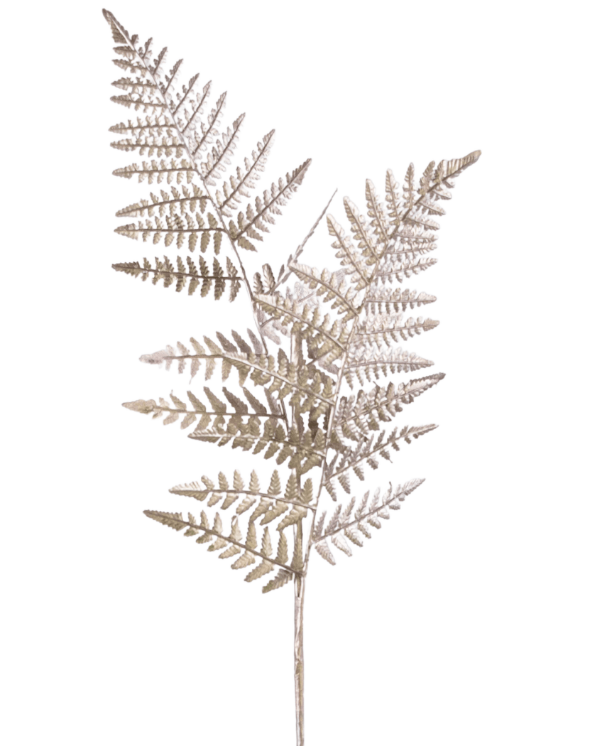 Una sola rama artificial de espárragos de 125 cm de color plateado, con tallos secos parecidos a un helecho de color marrón claro con hojas finas y ligeras como una pluma, sobre un fondo blanco liso.