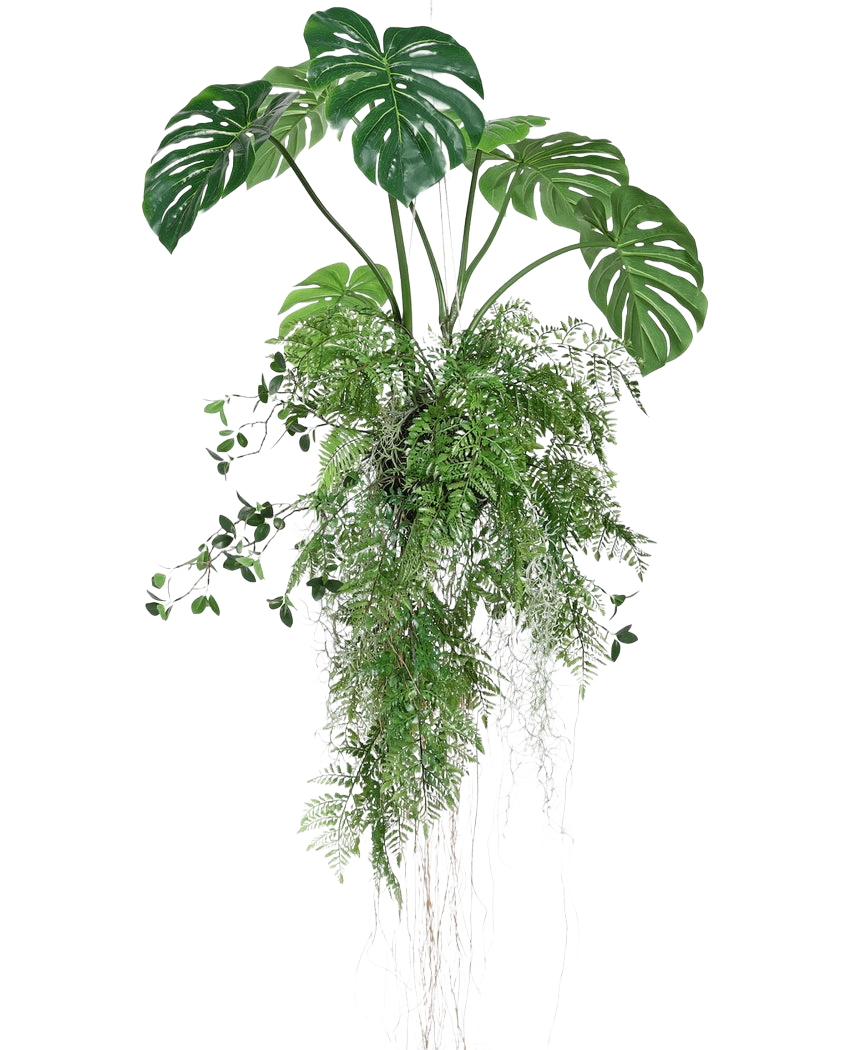 La planta artificial colgante Monstera/Fern Ball 100 cm XL presenta exuberantes hojas de monstera verdes y helechos con largos zarcillos y raíces, perfectos para añadir vegetación a cualquier espacio sobre un fondo blanco.