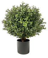 El Buxus artificial con tallo UV d30 cm es una planta redonda, tupida y de color verde con hojas densas y brillantes en una maceta cilíndrica negra y representada sobre un fondo blanco.