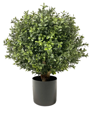 El Buxus artificial con tallo UV d30 cm es una planta redonda, tupida y de color verde con hojas densas y brillantes en una maceta cilíndrica negra y representada sobre un fondo blanco.