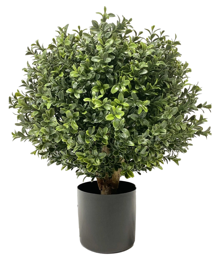 El Buxus artificial con tallo UV d30 cm es una planta redonda, tupida y de color verde con hojas densas y brillantes en una maceta cilíndrica negra y representada sobre un fondo blanco.