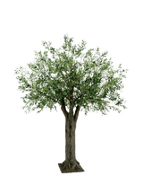 De Kunst Olijfboom Giant met olijven 250 cm heeft een dikke, getextureerde stam en dichte, slanke groene bladeren en brengt onderhoudsvrije mediterrane luxe op een eenvoudige, witte achtergrond.