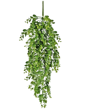 La planta colgante artificial Pancake de 61 cm tiene hojas artificiales de un verde vibrante que caen sobre un fondo blanco liso y se asemeja a una enredadera colgante real.