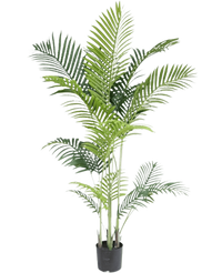 Palmera Datilera artificial 170 cm