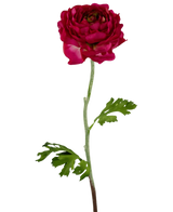 De Kunstbloem Ranonkel 51 cm donkerroze is een kunstmatige donkerroze ranonkel met gelaagde bloemblaadjes, een lange groene steel en diep gelobde groene bladeren, geïsoleerd afgebeeld op een witte achtergrond.