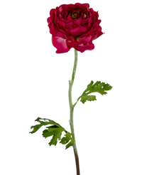 Ramo de flor artificial Ranunculus 51 cm rosa oscuro