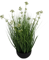 De Kunstgras Prei Bloem Ui Graspot 60cm brandvertragend heeft hoge, dunne grasachtige groene bladeren met kleine witte bloemtrosjes in een zwarte pot, tegen een witte achtergrond.