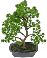 La Planta Artificial Bonsái Enebro 30 cm tiene densas hojas de color verde brillante y un tronco retorcido, en una maceta gris poco profunda con tierra oscura, sobre un fondo blanco liso.