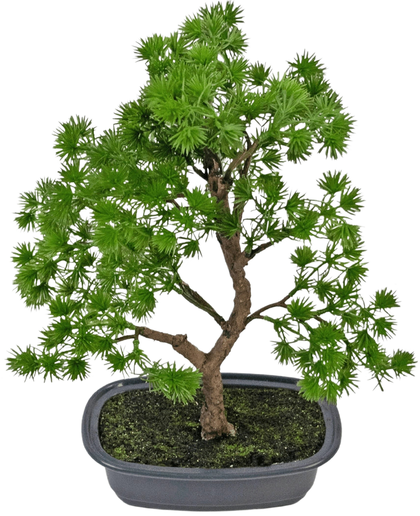 La Planta Artificial Bonsái Enebro 30 cm tiene densas hojas de color verde brillante y un tronco retorcido, en una maceta gris poco profunda con tierra oscura, sobre un fondo blanco liso.