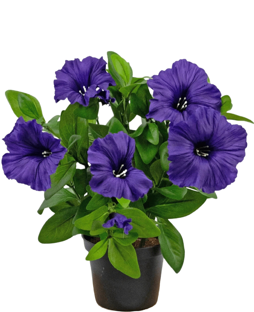 Una planta de petunia con flor artificial UV de 25 cm en color violeta con exuberantes hojas verdes, expuesta en una maceta sobre un fondo blanco liso.