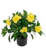 La Planta Artificial Gardenia UV 39 cm es una planta artificial de un verde exuberante con flores grandes y de un amarillo vibrante y hojas brillantes en una maceta negra, sobre un fondo blanco liso.
