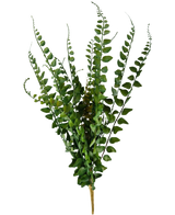El helecho artificial Stitch de 48 cm tiene ramas de helecho artificiales con tallos largos y delgados y hojas finamente detalladas, que se alzan sobre un fondo blanco liso.
