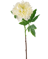 Ramo de flor artificial Peonía 61 cm blanca