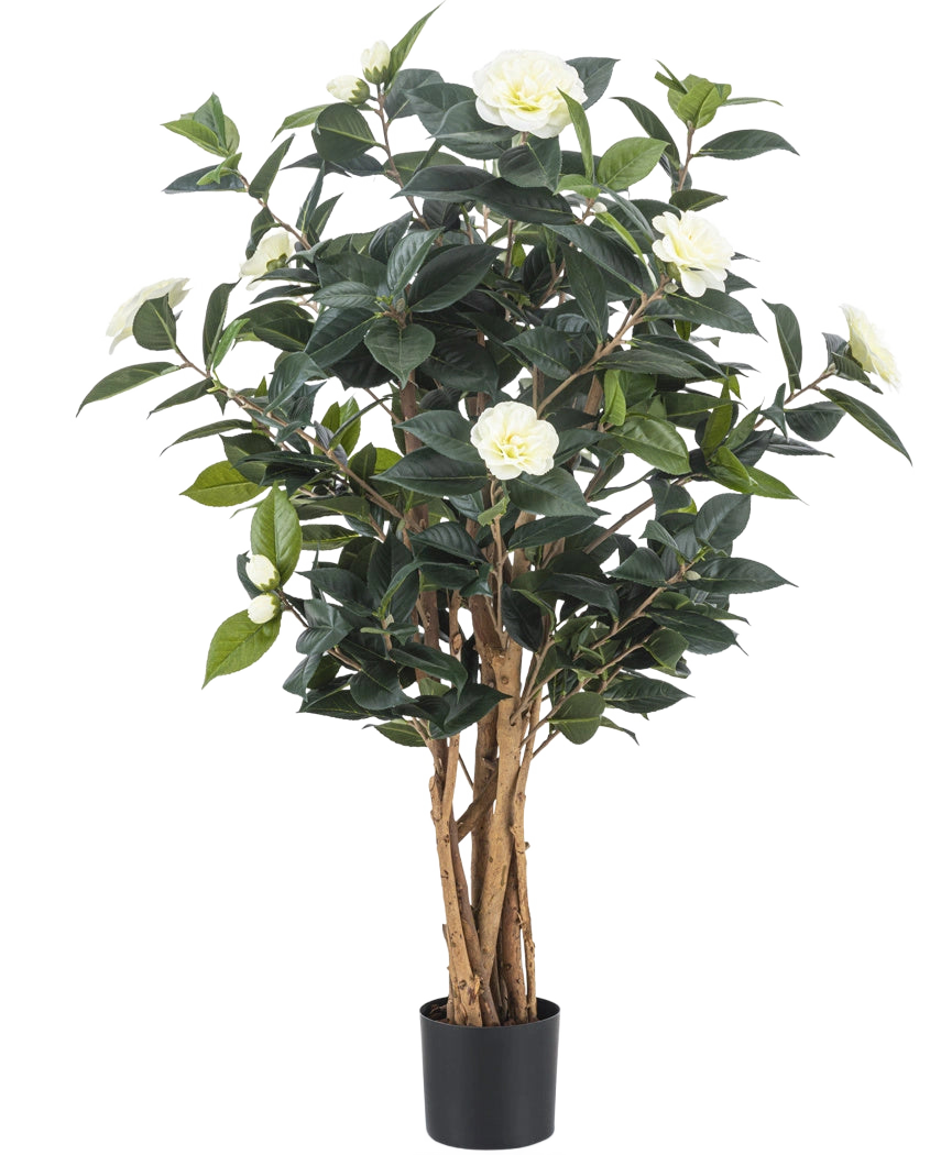 La Planta Artificial Camellia japonica 100 cm tiene varios tallos altos de color marrón, hojas de color verde oscuro y flores artificiales blancas sobre un fondo blanco liso.