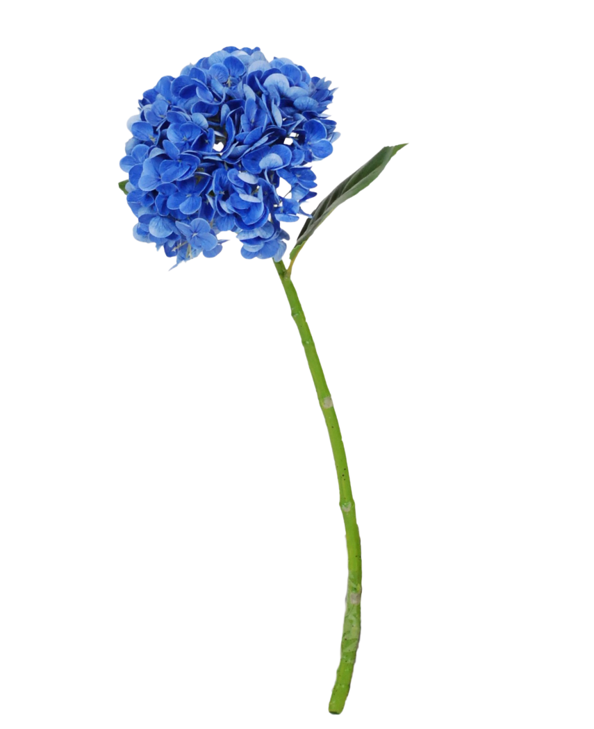 La Flor Artificial Charlotte Hydrangea Real Touch azul oscuro es una única hortensia artificial azul con tallo y hojas verdes, de 55 cm de altura, aislada sobre un fondo blanco.