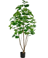 La Planta Artificial Ficus 210 cm es una planta de interior alta en una maceta con varios tallos delgados de color marrón y hojas verdes grandes y exuberantes, sobre un fondo blanco liso.