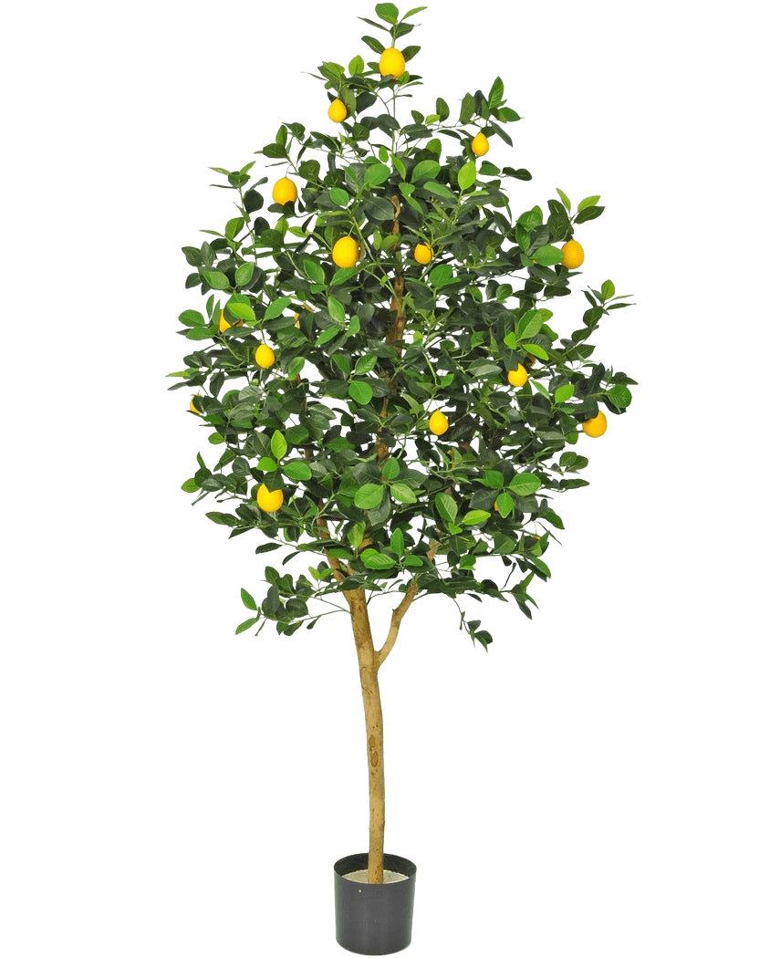 El limonero artificial de 150 cm tiene un tronco marrón, hojas verdes y varios limones amarillos en una maceta sobre un fondo blanco liso.