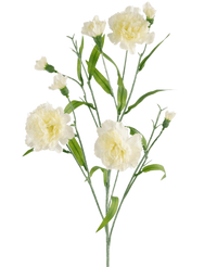 Ramo de clavel flor artificial 70 cm blanco