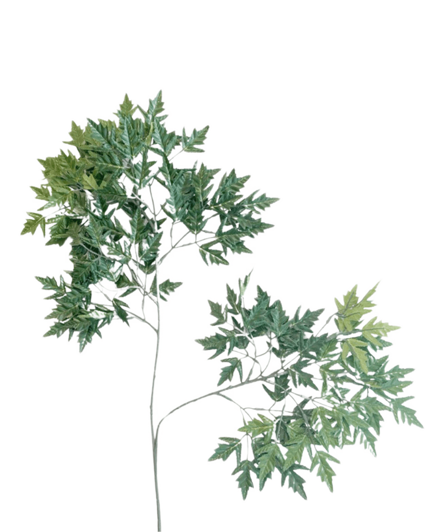 La Hoja Artificial Ming Aralia 50 cm verde retardante de fuego es una planta artificial alta y esbelta con tallos finos y manojos de hojas verdes con bordes dentados sobre un fondo blanco liso.