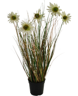 El Césped Artificial Crisantemo Cebolla Maceta 60cm retardante de fuego tiene hojas largas y delgadas de color verde y marrón con varios tallos altos rematados con flores blancas parecidas a margaritas con un corazón amarillo.