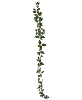 La guirnalda Art Tradescantia verde de 180 cm es una enredadera de una sola hoja verde representada verticalmente sobre un fondo blanco liso.