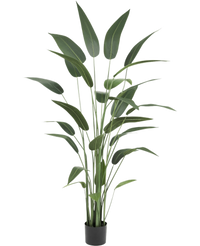 Planta artificial Heliconia 180 cm