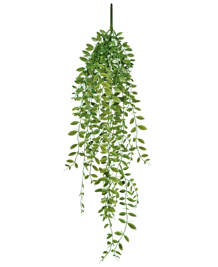 La Planta Suculenta Artificial Colgante de 76 cm tiene hojas verdes y tallos finos sobre un fondo blanco liso.