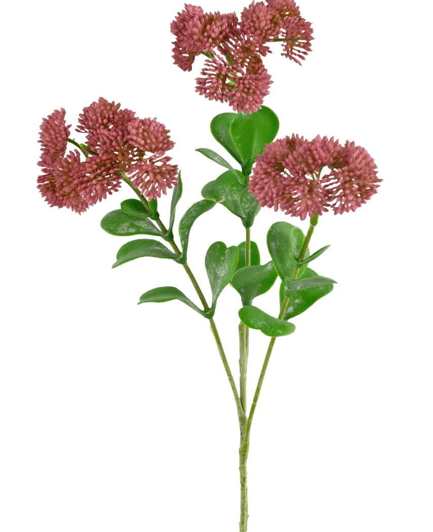 Una rama artificial de Sedum de 56 cm de color rosa con hojas verdes y racimos de flores pequeñas, redondas y tenues de color rojo rosado sobre un fondo blanco.