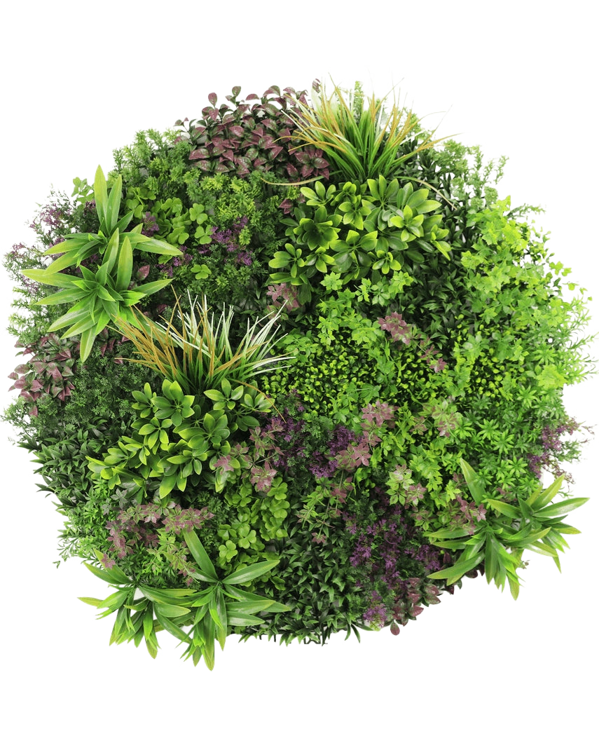 Una vista superior del seto artificial con marco negro de Ø100 cm muestra una exhibición densa y exuberante de plantas de hojas verdes y violetas dispuestas en un patrón circular sobre un fondo blanco.