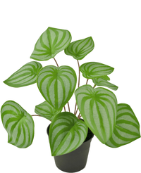 Planta artificial Sandía 29 cm