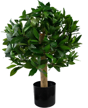 La planta Laurel Artificial UV d40 cm es un pequeño árbol artificial con densas hojas verdes en una maceta negra, representado sobre un fondo blanco liso.