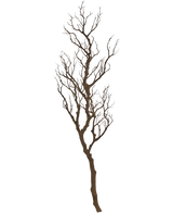 La rama decorativa Art de 118 cm es una rama decorativa alta, sin hojas, con muchos tallos finos y retorcidos que se elevan hacia arriba y que se muestran sobre un fondo blanco liso.