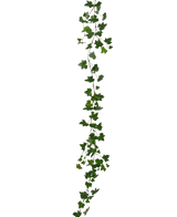 La planta colgante artificial Ivy garland deluxe 180 cm verde es una larga guirnalda de hiedra verde con hojas puntiagudas que cuelga verticalmente sobre un fondo blanco liso.