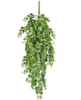 La planta colgante artificial Pancake de 61 cm tiene hojas artificiales de un verde vibrante que caen sobre un fondo blanco liso y se asemeja a una enredadera colgante real.