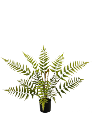 La planta de helecho artificial de 68 cm tiene hojas de helecho largas, de color verde claro como una pluma y se presenta en una maceta negra compacta, que se muestra aquí sobre un fondo blanco liso.