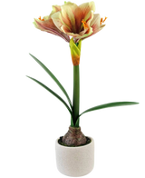 La Flor Artificial Amarilis Real Touch Rojo/Amarillo 48 cm tiene hojas verdes realistas y un tallo alto con flores rojas y amarillas en forma de trompeta, bellamente presentadas sobre un fondo blanco.