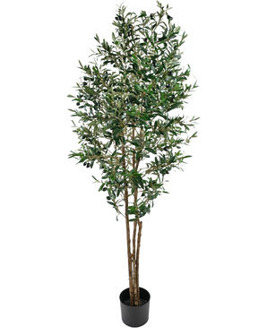 El Olivo artificial UV 180 cm es un olivo artificial alto, con ramas delgadas y hojas verdes, resistente a los rayos UV, presentado en una sencilla maceta negra y bellamente resaltado sobre un fondo blanco.