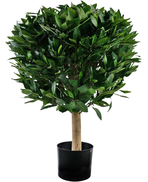 La planta Laurel Artificial UV d55 cm tiene un tronco recto y un racimo denso y redondo de hojas de color verde brillante, presentadas en un recipiente negro sobre un fondo blanco.