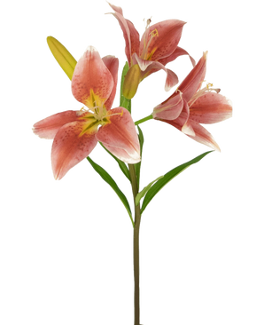 Ramo de flor artificial Lirio asiático 66 cm rosa viejo