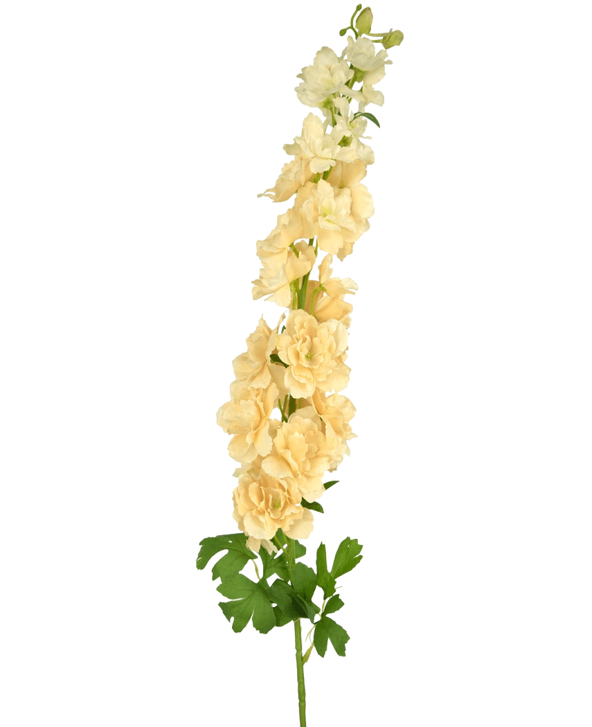 Una única Flor Artificial Delphinium de 105 cm color crema con varias flores de color amarillo claro y hojas verdes, sobre un fondo liso blanco.