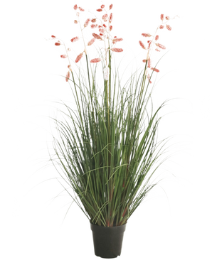 La Planta de Césped Artificial Ciempiés Hierba ignífuga de 120 cm tiene largas hojas verdes y tallos largos y delgados con penachos rosados, presentados sobre un fondo blanco.