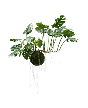 La planta artificial colgante Monstera Deluxe de 80 cm, con exuberantes hojas verdes y largas raíces visibles, cuelga sobre un fondo blanco y le da inmediatamente a su interior un aspecto tropical.